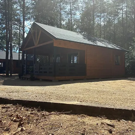 El Pino - W Lesie Skrzynka Wielka