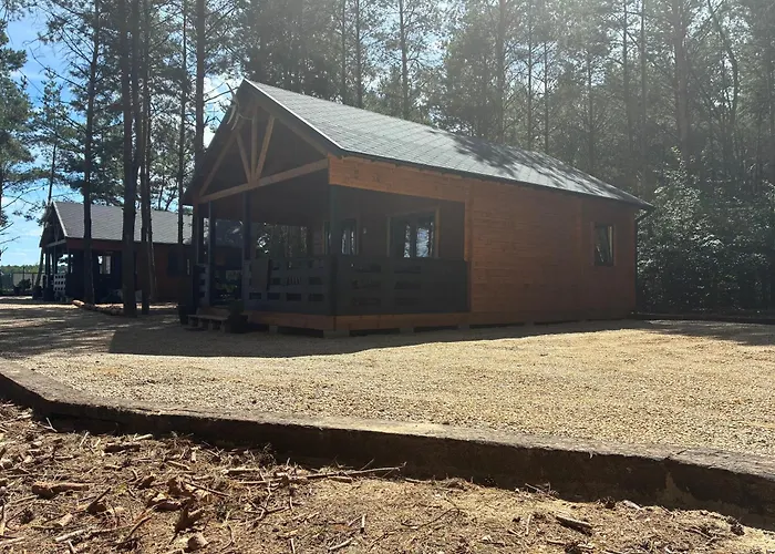 El Pino - W Lesie Skrzynka Wielka